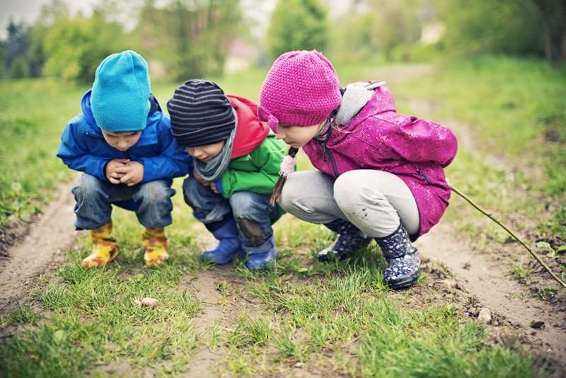 Spændende ting i græsset